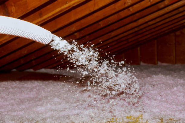 Best Spray Foam Insulation  in Fort Valley, GA