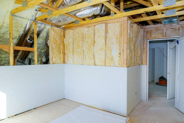 Best Insulation Repair Services  in Fort Valley, GA