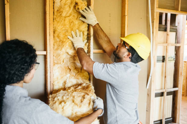 Best Insulation Replacement Services  in Fort Valley, GA